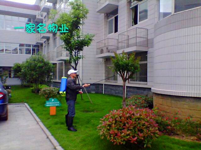 绿化养护管理